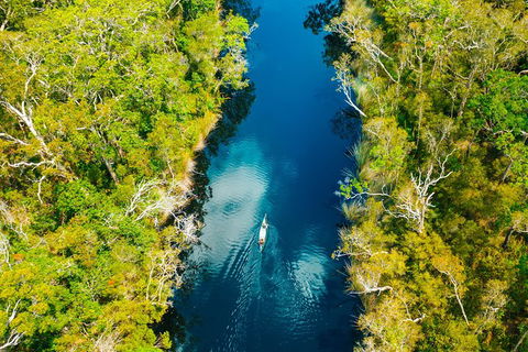 Cruise \'n\' Canoe To Australia\'s Everglades - Accommodation Brisbane 1