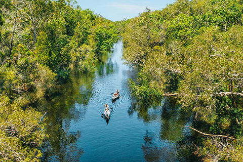Cruise \'n\' Canoe To Australia\'s Everglades - Accommodation Brisbane 0