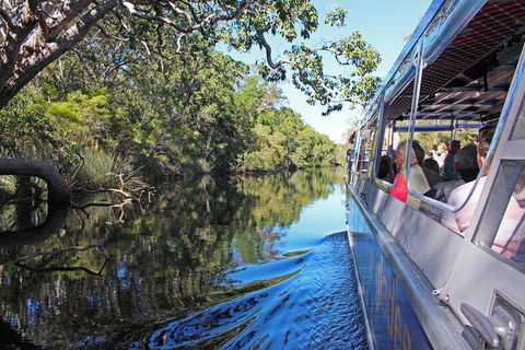 Cruise \'n\' Canoe To Australia\'s Everglades - Accommodation Brisbane 6