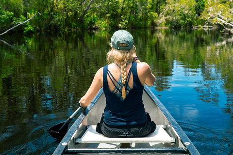 Cruise \'n\' Canoe To Australia\'s Everglades - Accommodation Brisbane 4