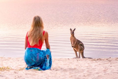 Cruise \'n\' Canoe To Australia\'s Everglades - Accommodation Brisbane 2