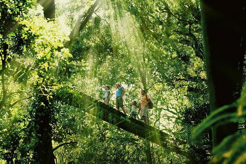 Gold Coast Lamington National Park And Tamborine Mountain 4WD Ecotour - Accommodation Brisbane 0