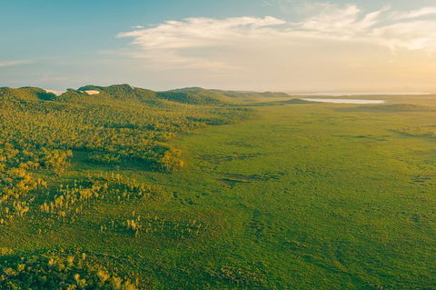 Everglades Eco Safari To Australia\'s Everglades - Accommodation Brisbane 14