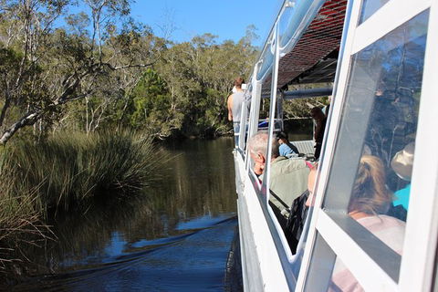 Everglades Eco Safari To Australia\'s Everglades - Accommodation Brisbane 3