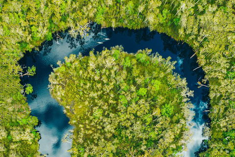 Everglades Eco Safari To Australia\'s Everglades - Accommodation Brisbane 8
