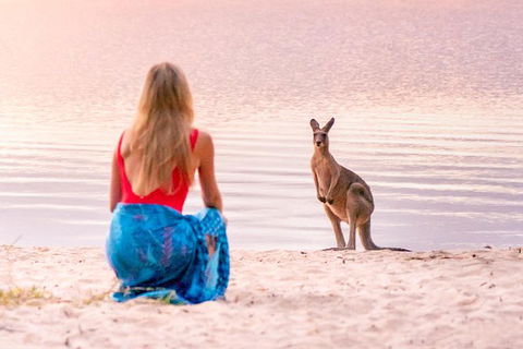 Everglades Eco Safari To Australia\'s Everglades - Accommodation Brisbane 1