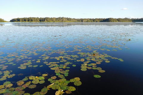 Everglades Eco Safari To Australia\'s Everglades - Accommodation Brisbane 5