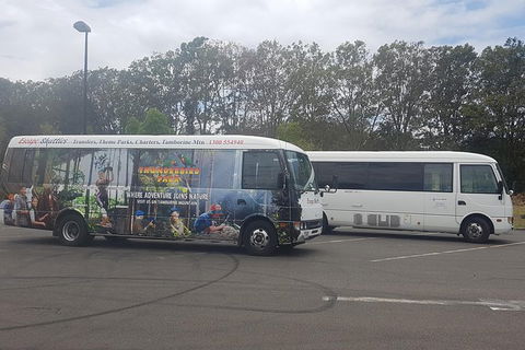 Gold Coast Airport Shared Arrival Shuttle Service With Wheelchair Access - Accommodation Brisbane 0