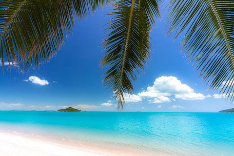 Reef, Wildlife & Rainforest - Reef & Beyond Guided Holidays - Accommodation Brisbane 4