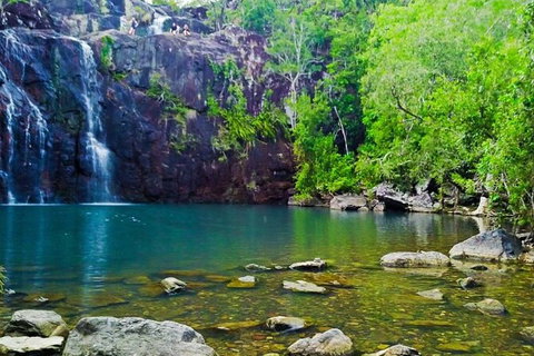 Reef, Wildlife & Rainforest - Reef & Beyond Guided Holidays - Accommodation Brisbane 0