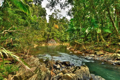 Reef, Wildlife & Rainforest - Reef & Beyond Guided Holidays - Accommodation Brisbane 3