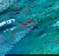 Premium Private Charter - Accommodation Brisbane