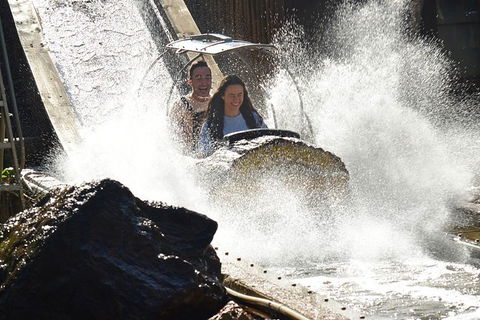 Theme Park Transfers From Brisbane - Accommodation Brisbane 4