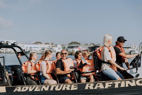 Whale Watching - Accommodation Brisbane 4