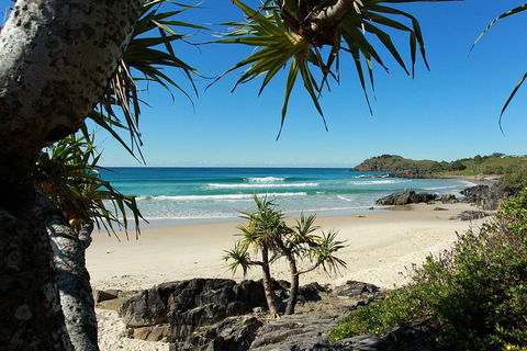 Fingal Head Learn-to-Surf Day Trip From The Gold Coast Or Byron Bay - Accommodation Brisbane 4
