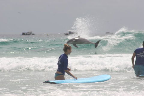 Fingal Head Learn-to-Surf Day Trip From The Gold Coast Or Byron Bay - Accommodation Brisbane 5
