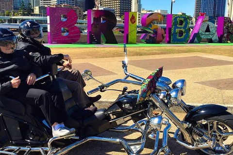 Unique Vehicle Tour Around Brisbane - Accommodation Brisbane 3