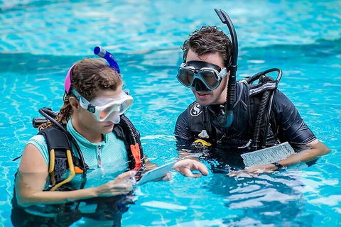 PADI Diving Courses On The Gold Coast - Accommodation Brisbane 0
