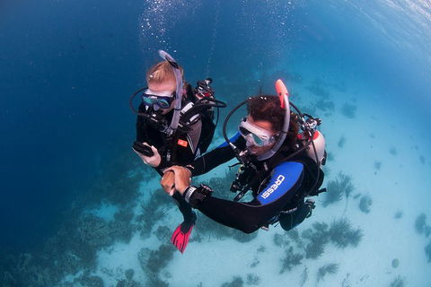 PADI Diving Courses On The Gold Coast - Accommodation Brisbane 5