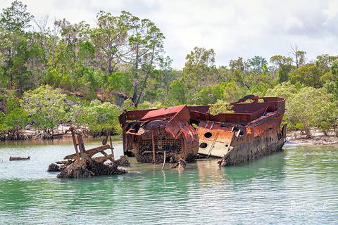 Sandy Straits Scenic & Wildlife Cruise - Accommodation Brisbane 9