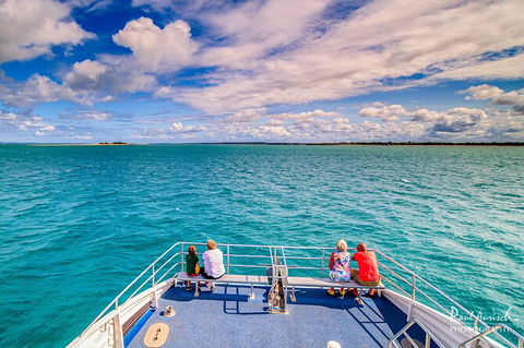 Sandy Straits Scenic & Wildlife Cruise - Accommodation Brisbane 7