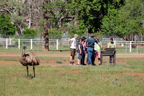 Yura Udnyu - Our Culture, Your Culture (Aboriginal Cultural Walk) - Accommodation Brisbane 5