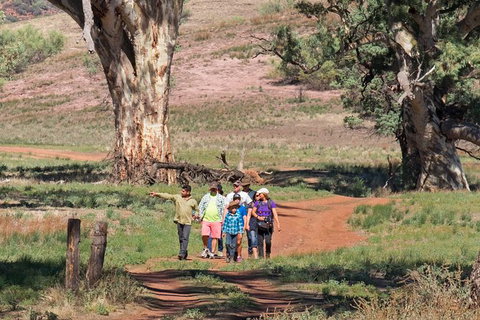 Yura Udnyu - Our Culture, Your Culture (Aboriginal Cultural Walk) - Accommodation Brisbane 1