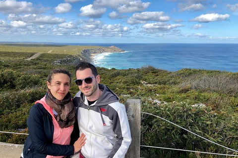 NEW TOUR - Flinders Chase Tour (Recovering From Fires) - Accommodation Brisbane 3