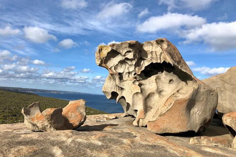 NEW TOUR - Flinders Chase Tour (Recovering From Fires) - Accommodation Brisbane 2