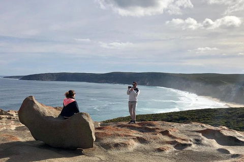NEW TOUR - Flinders Chase Tour (Recovering From Fires) - Accommodation Brisbane 5