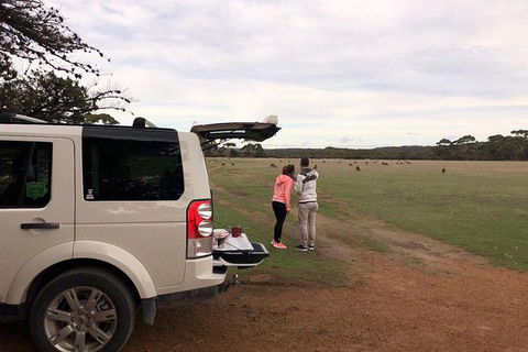 NEW TOUR - Flinders Chase Tour (Recovering From Fires) - Accommodation Brisbane 6
