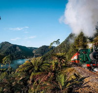 West Coast Wilderness Railway Rack and Gorge from Queenstown - Accommodation Brisbane