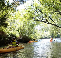 Paddle with the Platypus Twilight Kayak Adventure - Accommodation Brisbane