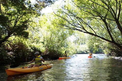 Paddle With The Platypus Twilight Kayak Adventure - Accommodation Brisbane 0