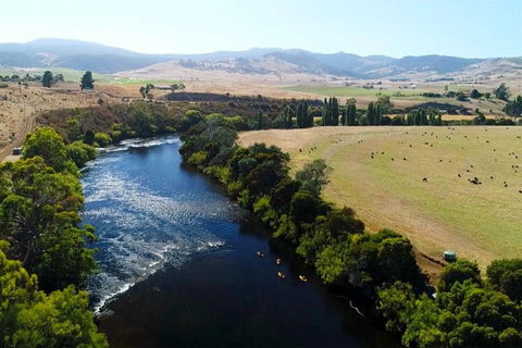 Paddle With The Platypus Twilight Kayak Adventure - Accommodation Brisbane 6