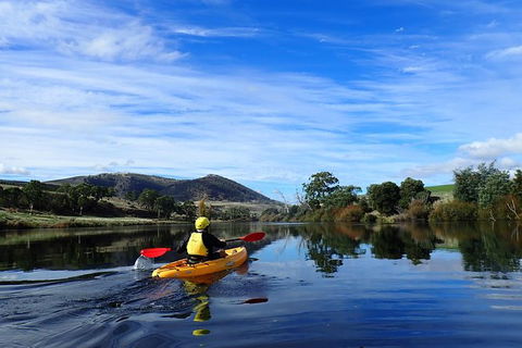 Paddle With The Platypus Twilight Kayak Adventure - Accommodation Brisbane 5