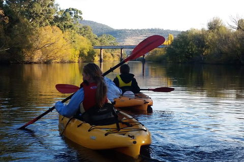 Paddle With The Platypus Twilight Kayak Adventure - Accommodation Brisbane 1