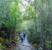 kunanyi/Mt Wellington Explorer Bus - One Way Tour - Accommodation Brisbane