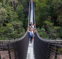 Tahune Airwalk Active Day Trip from Hobart Including Hastings Caves - Accommodation Brisbane