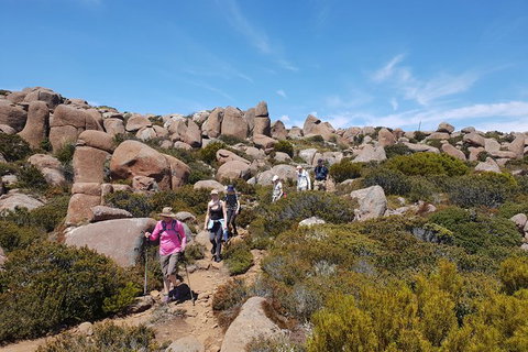 Alpine Loop - Accommodation Brisbane 2