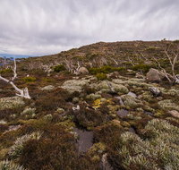Alpine Loop - Accommodation Brisbane
