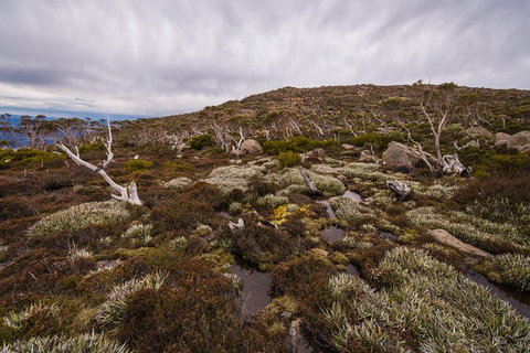 Alpine Loop - Accommodation Brisbane 0