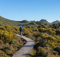 Hartz Mountains premium private photo-oriented day tour from Hobart - Accommodation Brisbane