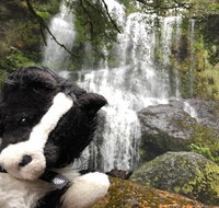 Waterfalls Guided Tour - Accommodation Brisbane