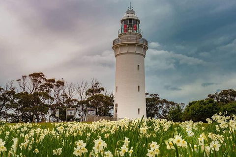 Table Cape Lighthouse Tours - Accommodation Brisbane 7