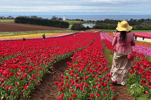 Table Cape Lighthouse Tours - Accommodation Brisbane 0