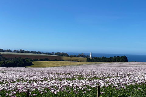 Table Cape Lighthouse Tours - Accommodation Brisbane 8