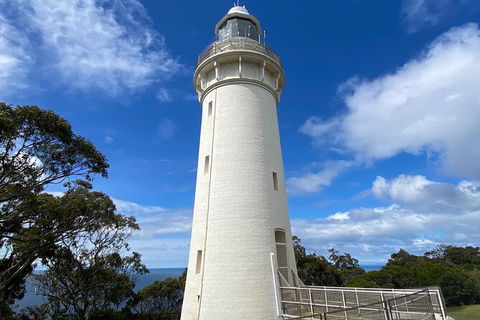 Table Cape Lighthouse Tours - Accommodation Brisbane 4