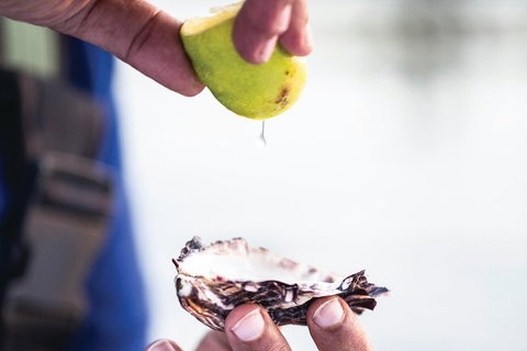 One-Way East Coaster - Accommodation Brisbane 0