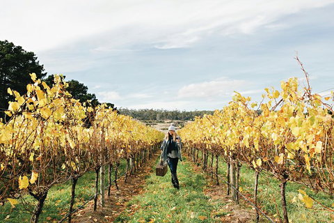 One-Way East Coaster - Accommodation Brisbane 4